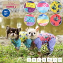 【2021年モデル】アクティブロンパース 犬用ラッシュガード BROWNIE'S-ブラウニーズ- S/M/L/XL(2L)/XXL(3L) ドッグウェア 部屋着 散歩 キャンプ 犬服 犬の服 小型犬 雨の日