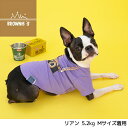 カメラTシャツ S/M/L/XL/XXL BROWNIE'S-ブラウニーズ- 犬服 ドッグウェア トイプードル チワワ ポメラニアン BR23SS 3