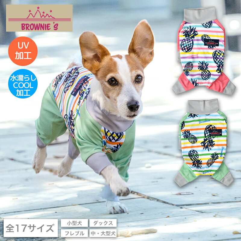 【SALEの為返品交換不可】オール　デニム ストレッチ　名入れ 刺繍 snowdropパンツ　スカート つなぎ 犬 ドッグ　服　犬服　犬用品　 ペット服 犬の服 ペット petto ゆうパケット対応