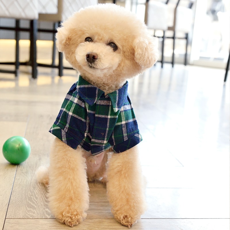 D'sチェック柄ネルシャツオレンジ / グリーンS / M / Lサイズ小型犬 / チワワ / トイプードル / ヨークシャテリアD's CHAT / ディーズチャット犬服 / 犬の服 / ドッグウェア D'sチェック柄ネルシャツオレンジ / グリーンS / M / Lサイズ小型犬 / チワワ / トイプードル / ヨークシャテリアD's CHAT / ディーズチャット犬服 / 犬の服 / ドッグウェア