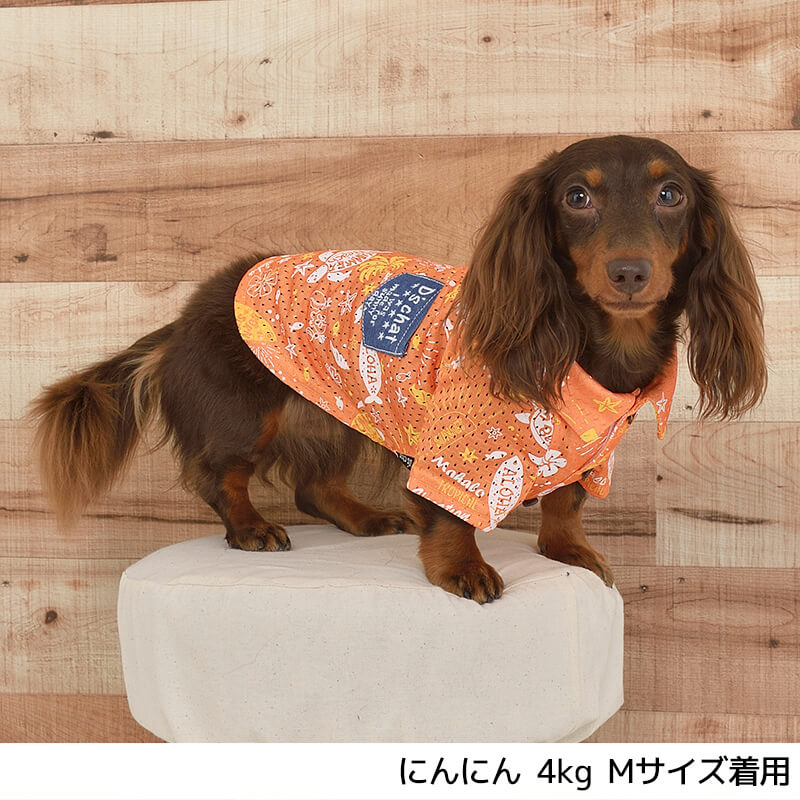 アロハメッシュシャツ XS/S/M/L/XL/XXL/DS/DM/4L/5L/6L/OS/OM/OL D's Chat-ディー...