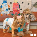 アシメベロアオールインワン XS/S D's Chat-ディーズチャット- 犬服 ドッグウェア 小型犬 トイプードル チワワ ポメラニアン DS22AW