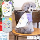 アシメポップTシャツ XS/S/M/L D's Chat-ディーズチャット- 犬服 ドッグウェア 小型犬 トイプードル チワワ ポメラニアン DS22SS その1