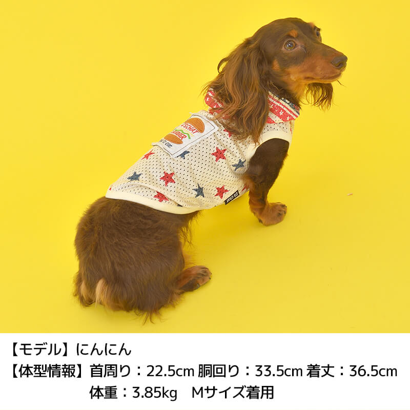 アメリカン柄パーカ XS S M L D's Chat-ディーズチャット- 日本 トイプードル DS22SS 犬服 チワワ ドッグウェア ポメラニアン  小型犬