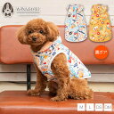 ポップ柄アウター M/L/DS/DM D's Chat-ディーズチャット- 犬服 小型犬 ドッグウェア DS23AW