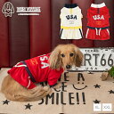 アメリカンチアワンピ XL/XXL D's Chat-ディーズチャット- 犬服 小型犬 ドッグウェア DS23AW