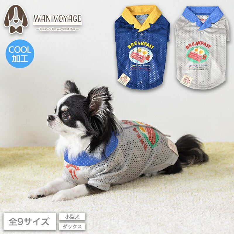 背開きメッシュシャツ XS/S/M/L/XL/XXL/DXS/DS/DM D's Chat-ディーズチャット- 犬服 小型犬 ドッグウェア DS25SS