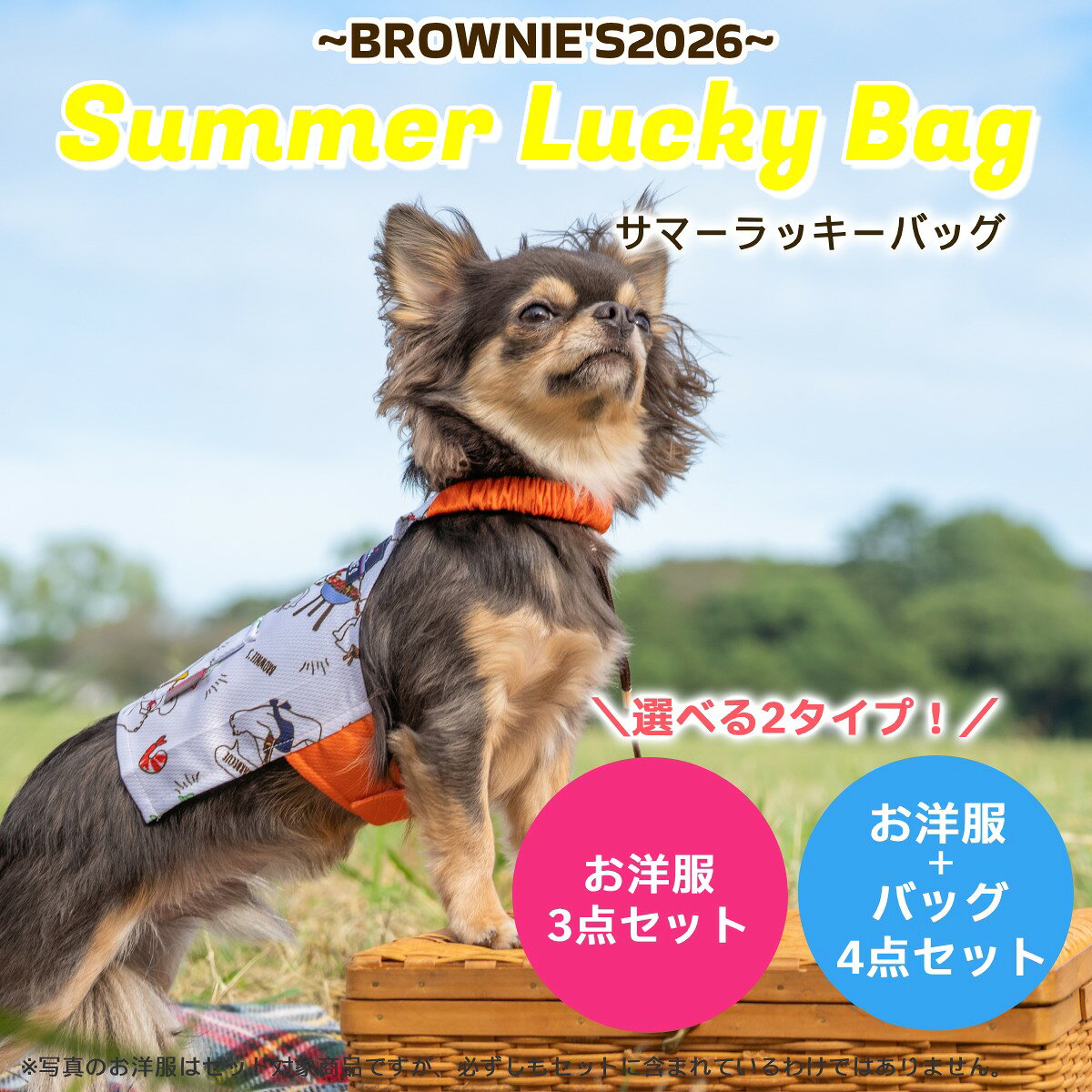 犬用品福袋14,300円分 楽天市場】福袋（犬用品｜ペット・ペットグッズ）の通販