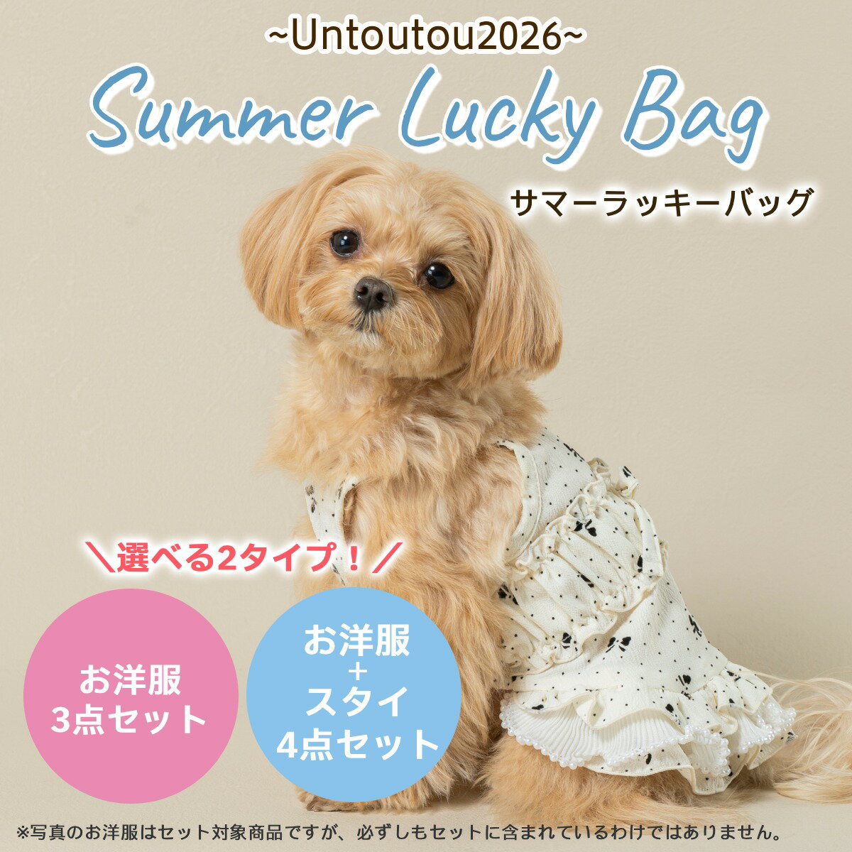  春夏お洋服セット・スタイセット Un TouTou アントゥトゥ 福袋 サマーラッキーバッグ XS/S/M/L/XL(2L)/XXL(3L)/DS/DM wanvoyage ワンボヤージュ 犬用 犬服 ドッグウェア