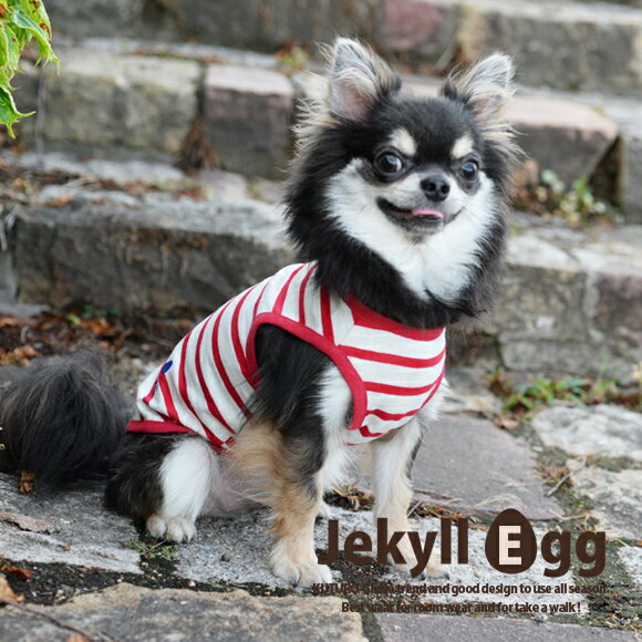 楽天WAN VOYAGEJE203 タンクトップXXL / DS / DMサイズJekyll Egg　ジキルエッグ　WAN VOYAGE　ワンボヤージュ犬服　犬の服　ドッグウェア