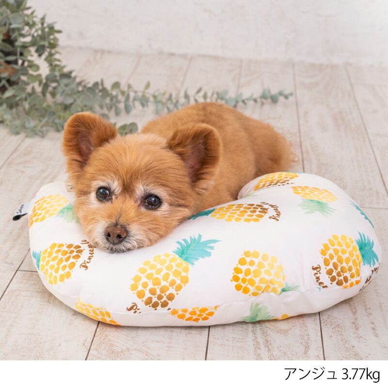 ������ԥ��� M/L Solgra-���륰��- ���� �ѥ��� �����å� ������٥å� �����֤��ޤ��� �ܿ��䴶 �Ҥ��� �ȥ��ס��ɥ� ����� �ݥ��˥��� SO23SS