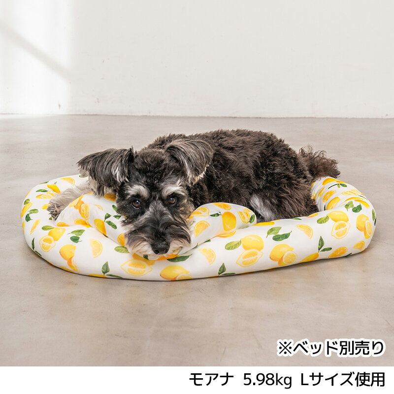 クールピロー M/L Solgra-ソルグラ- 犬用枕 接触冷感 ひんやり SO24SS