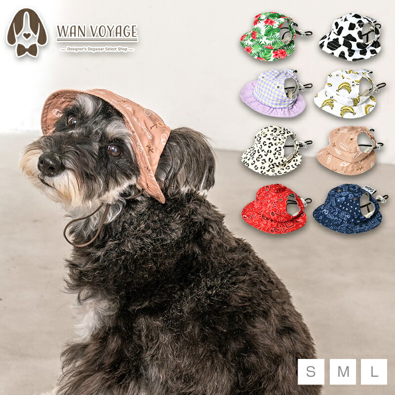 ˹ S/M/L Solgra-륰-  ϥå ȥɥ 뤵к Ǯк  Ǩ餷ƤҤ 䴶 Ҥ coo...