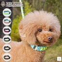 バイカラーコードカラー S Solgra-ソルグラ- 首輪 犬用 ペット用 犬具 お散歩 トイプードル チワワ ポメラニアン