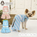 リブボーダーつなぎ XS/S/M/L/XL/XXL TINOTITO -ティノティート- 犬服 ドッグウェア TT24SS