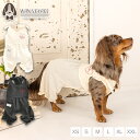 肩リボンつなぎ XS/S/M/L/XL/XXL TINOTITO -ティノティート- 犬服 ドッグウェア TT25SS