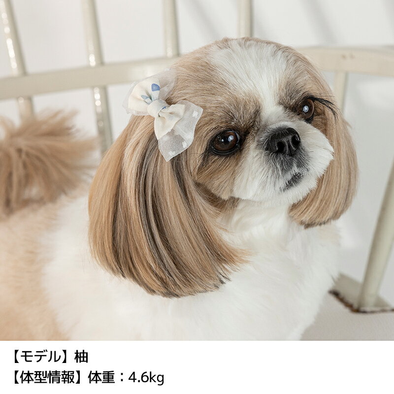 シースルーヘアリボン F Un TouTou -アントゥトゥ- 犬用 UT25SS