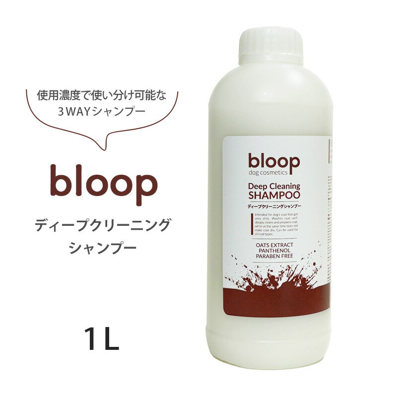 bloop ディープクリーニングシャンプー 1L【追跡可能メール便】【全国一律送料無料】
