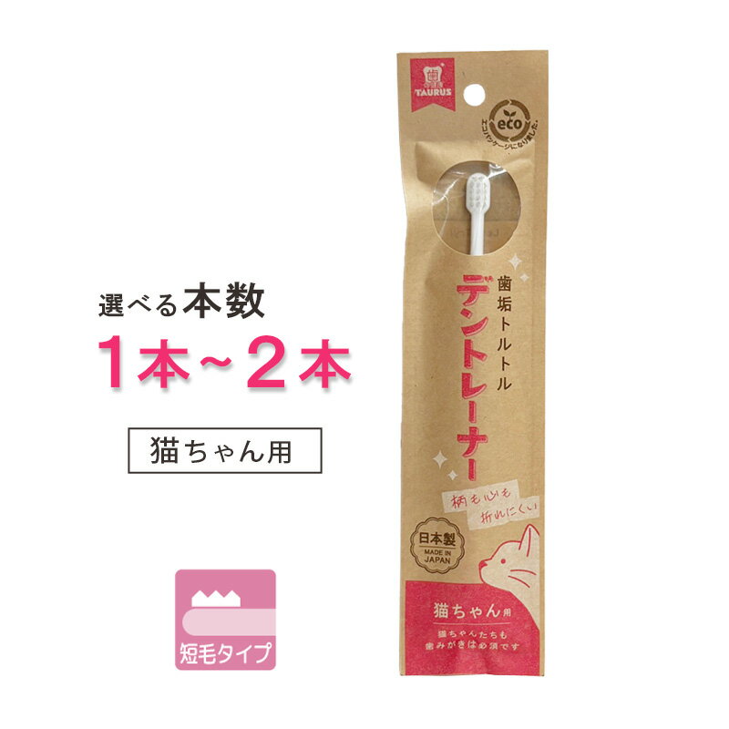 頑丈でポキンと折れにくい特殊加工の、猫ちゃん用トレーニング歯ブラシです。 ペットのお口に合わせたヘッド の形状を採用、歯ブラシが苦手でも嫌がりにくい短毛タイプ。 【使用方法】 ・ペットをを脇と肘でしっかり抱えます。 ・優しくマズル辺りを手で触りながら慣れさせ、徐々に歯ブラシをお口に入れて優しく（手の甲で擦っても痛くない程度の力）磨いてあげてください。 ・最初は外側の歯から磨き、慣れてきたら内側も磨いてあげてください。 ・強く噛むようであれば一旦中止し、しばらく経ってから磨いてください。 柄の材質：ポリプロピレン 毛の材質：ナイロン 毛の硬さ：やわらかめ 耐熱温度：80℃ 日本製 【ご注意】 ・本品はペット用です。 ・口腔内清掃以外に使用しないでください。 ・歯ブラシだけを噛ませないでください。 ・手を噛まれないよう注意してください。 ・歯茎の状態や、磨き方で出血する場合があります。出血が長く続く場合は使用を中止して獣医師にご相談ください。 ・使用後は流水で汚れをよく洗い落とし、充分に水を切り、風通しのよい場所に保管してください。 ※パッケージ等の仕様・性能は、メーカーや製造元都合により予告なく変更する場合がありますのでご了承ください。 【お届け方法】 追跡可能メール便（クリックポストまたはネコポス）での発送商品です。 配送先のポストに投函されるため非対面で、捺印や記名の必要がなく、受け取る側の負担が少ない発送サービスです。 ・配達方法：ポスト投函（ポスト投函できない場合は別途対応） ・配達状況確認：追跡番号あり、ネット上で確認できます。 ・配達中の補償（紛失、破損）：補償なし ・配達日時指定：対応不可 ・配達日数：最短で発送日の翌日（遠方や離島は3日〜1週間ほど） ・保管期限経過による返送の場合、発生する費用はお客様にご負担いただきます。 【コスト削減とエコへの取り組み】 ・お届の際は簡易包装のため、輸送中に外装やパッケージに傷・つぶれ等がある場合がありますがご了承ください。 ・ペーパーレス化推進のため、お買い上げ明細書・納品書等はご希望のお客様のみ同封させていただきます。ご希望の方はお手数ですがご注文の際にその旨をお知らせください。 この商品に関するおすすめ商品