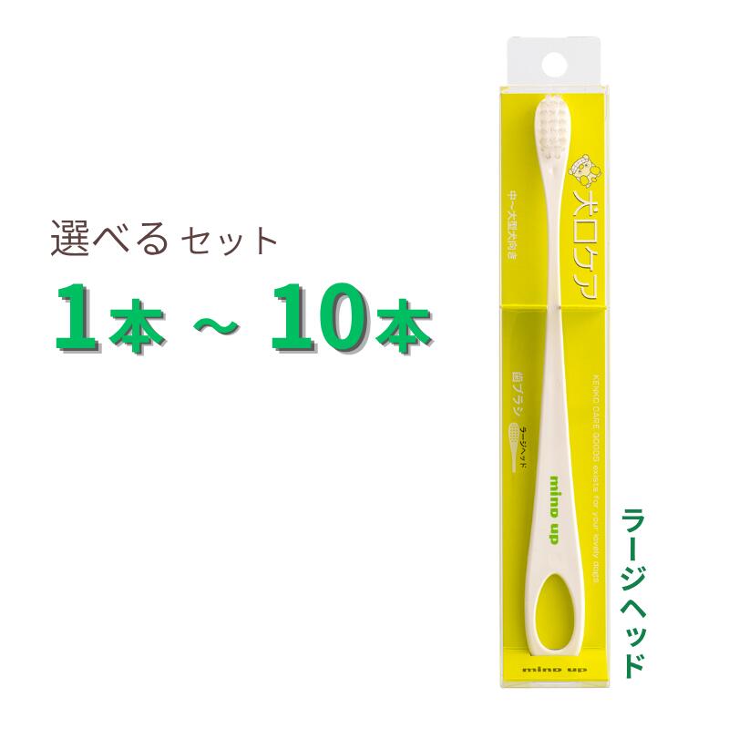 Rakuten - 犬口ケア 歯ブラシ ラージヘッド 選べるセット 1本～10本【追跡可能メール便】【全国一律送料無料】