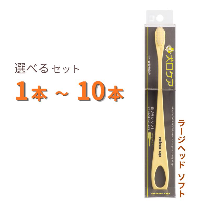 犬口ケア 歯ブラシ ラージヘッド ソフト 選べるセット 1本～10本【追跡可能メール便】【全国一律送料無料】