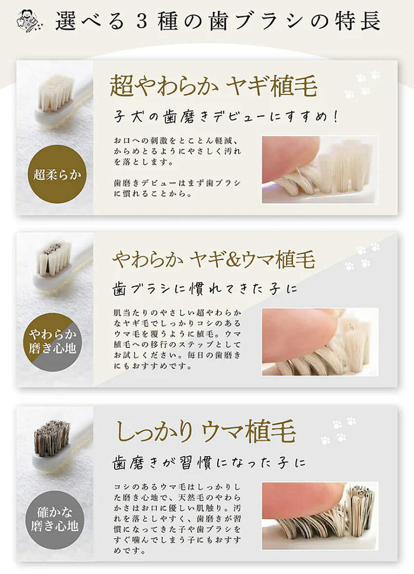 アエコムのミガケンデ 天然毛歯ブラシ 3本 セット【追跡可能メール便】【全国一律送料無料】｜アングル3