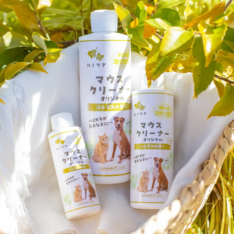 ハノケア マウスクリーナー オリジナル 237ml【全国一律送料無料】
