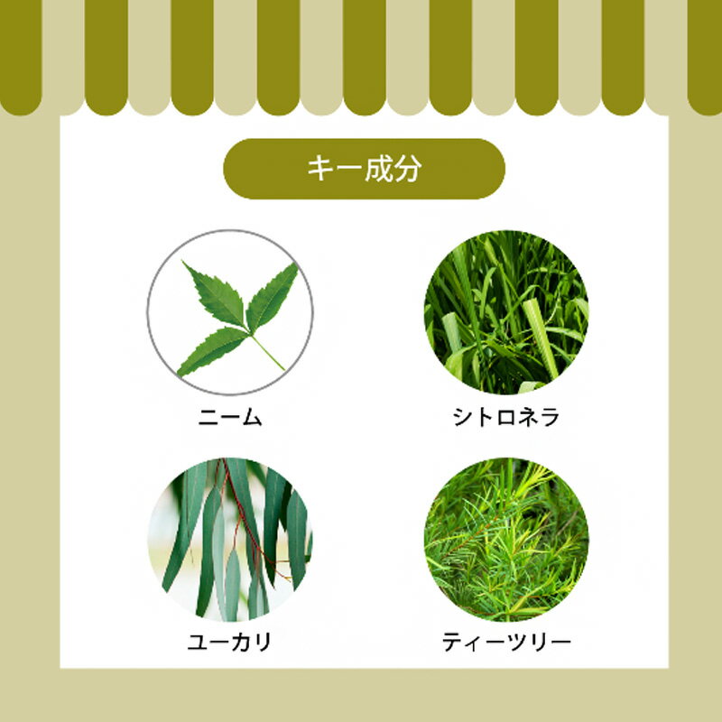 APDC �ˡ�������ȥ��ͥ饹�ץ졼 125ml�����ײ�ǽ�᡼���ءۡ������Χ����̵����