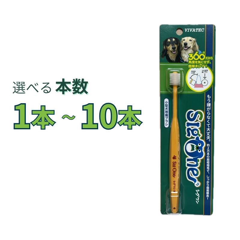 樂天商城 - シグワン 小型犬用歯ブラシ 選べる本数 1本～10本【追跡可能メール便】【全国一律送料無料】