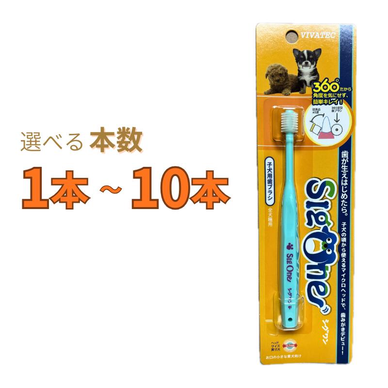 シグワン 子犬用歯ブラシ 選べる本数 1本～10本【追跡可能メール便】【全国一律送料無料】