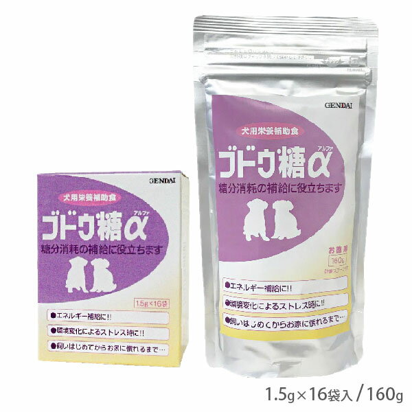 乐天商城 - ブドウ糖α 1.5g×16袋入/160g【追跡可能メール便】【全国一律送料無料】