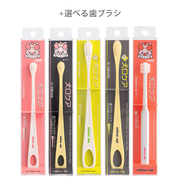 �������� ���ѱվ��Ϥߤ��������֥饷 ���åȡ����ײ�ǽ�᡼���ءۡ������Χ����̵����