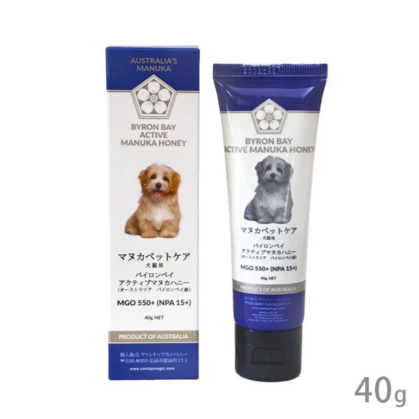 乐天商城 - マヌカペットケア アクティヴマヌカハニー MGO550【追跡可能メール便】【全国一律送料無料】