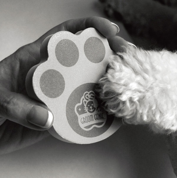 �ͥ��륰�롼�ߥ󥰥ѥå�2P ����󥸡����ײ�ǽ�᡼���ءۡ������Χ����̵����