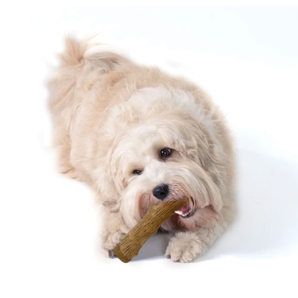 ウッディータフスティック ミディアム【追跡可能メール便】【全国一律送料無料】 2