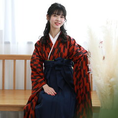 https://thumbnail.image.rakuten.co.jp/@0_mall/wanadesiko/cabinet/2010hakama/09532018/ky041-1.jpg