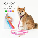 CANDY リード【サイズXS・S・M】(4)