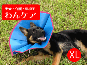 ソフトエリザベスカラー　トリムライン(TRIMLINE) XL 【ペット用介護用品】 老犬 高齢犬 わんケア 【大型犬用介護用品】ペットグッズ　あす楽