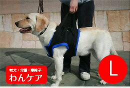 歩行補助ハーネス（前足用）L (胸周り76-84cm)介護用【ウォークアバウト】 ペット 介護用品【送料無料】 老犬 高齢犬 わんケア 【大型犬用介護用品】ペットグッズ 前肢 前脚 02P18Jun16 その1
