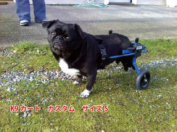 K-9カスタム車椅子(2輪) 体重5.1〜11kg用 ペット 介護用品【送料無料】 老犬 高齢犬 わんケア 犬用 車イス 車いす ペットグッズ 犬用カート バギー 歩行器 犬 介護 老犬 高齢犬 ペット リハビリ