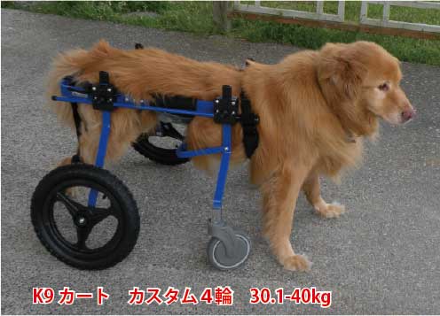 K-9カート『Full Support Dog Wheelchair』