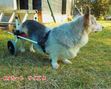 【試乗車あり】犬の車椅子 K9カートスタンダード後脚サポート M(11.1〜18kg)用 介護用品 老犬 高齢犬 わんケア 犬用 車椅子 車いす カート 中型犬 車椅子 バギー 後肢 後足 歩行器 コーギー ビーグル犬 介護 老犬 高齢犬 ペット リハビリ