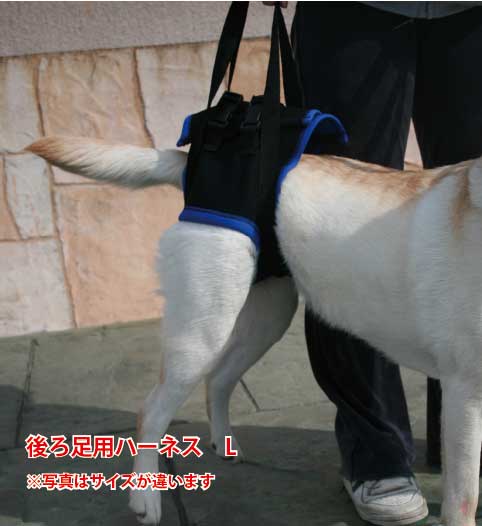 歩行補助ハーネス（後足用） L　(胴周り63-73cm) 介護用 ペット 介護 用品 老犬 高齢犬 わんケア ペットグッズ 後肢 後脚　歩行　補助　ハーネス　犬　歩行補助