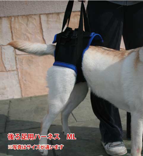 歩行補助ハーネス(後足用） ML(胴周り59-68cm)介護用  ペット 介護用品 老犬 高齢犬 わんケア ペットグッズ 後肢 後脚 あす楽