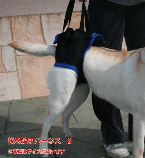 歩行補助ハーネス(後足用） S (胴周り39-44cm)介護用 ペット 介護用品 老犬 高齢犬 わんケア ペットグッズ 後肢 後脚 あす楽