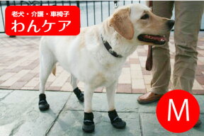 ウォーカーブーツ(保護ブーツ)　1ペア　M【ペット用介護用品】 老犬 高齢犬 わんケア 【犬用介護用品】歩行補助ペットグッズ　あす楽　02P27May16