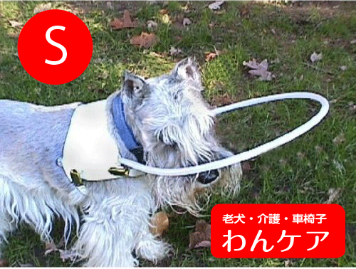 盲犬杖 S(胴周20-40cm用)【ペット用介護用品】【送料無料】 老犬 高齢犬 わんケア 【犬用介護用品】ペットグッズP06May16