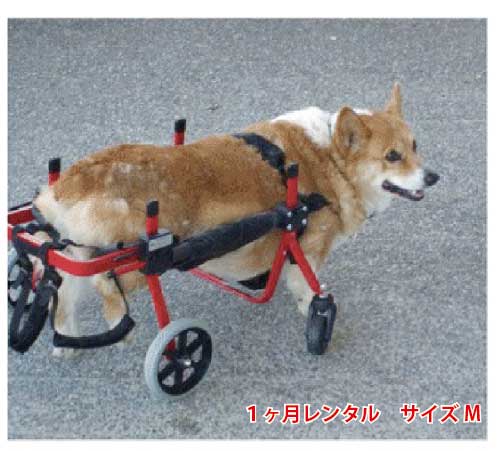 【1カ月レンタル】4輪の犬の車椅子　K9カートスタンダード 