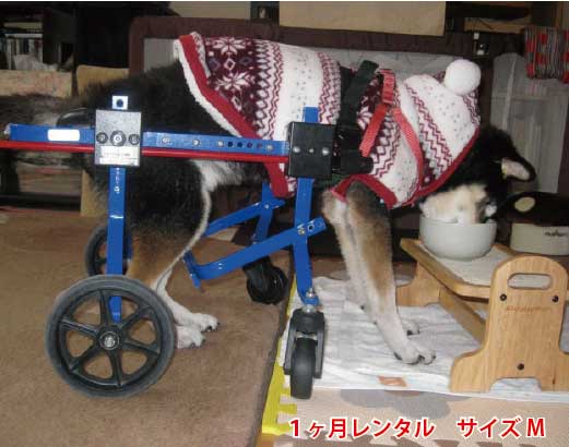 【1カ月レンタル】4輪の犬の車椅子 K9カートスタンダード M 11.1〜18kg 用