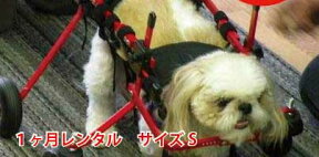 【1カ月レンタル延長】4輪の犬の車椅子　K9カート スタンダードS (5.1〜11kg)用 パグ ポメラニアン【介護用品】 老犬 高齢犬 小型犬 車椅子 バギー 犬用 車椅子 車いす カート 後肢 後足　歩行器 　犬　レンタル　歩行　補助　ペット